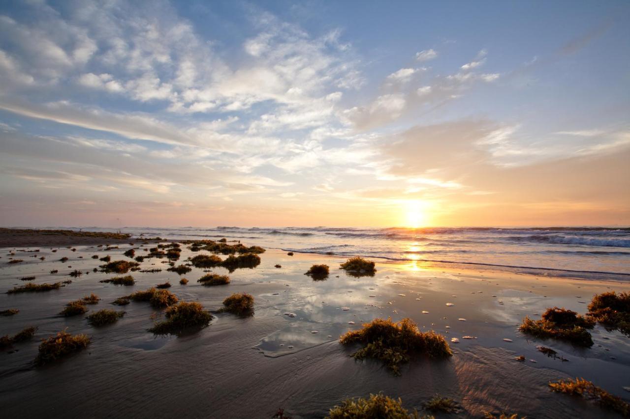 Island Serenity South Padre Island Exteriör bild